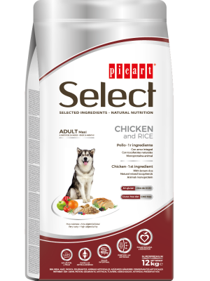 Picart Select Adult Maxi Chicken & Rice 12kg