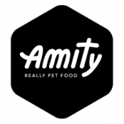amity-logo