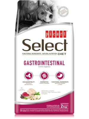 Picart Select Veterinary Diets Gastrointestinal 10kg