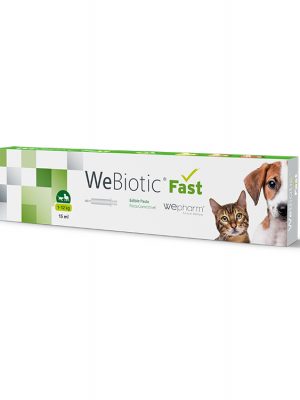 WEBIOTIC Fast Προστασία Και Ενίσχυση Της Λειτουργίας Του Εντέρου. 15ml