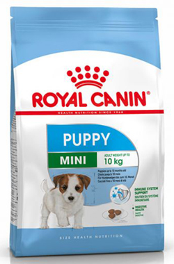 Royal Canin SHN Mini Dog Puppy 4Kg