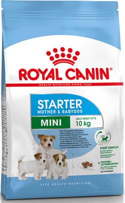 Royal Canin SHN Mini dog Starter 1kg
